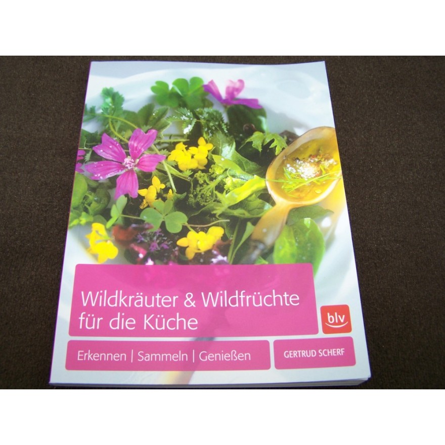 Wildkräuter & Wildfrüchte für die Küche von Gertrud Scherf